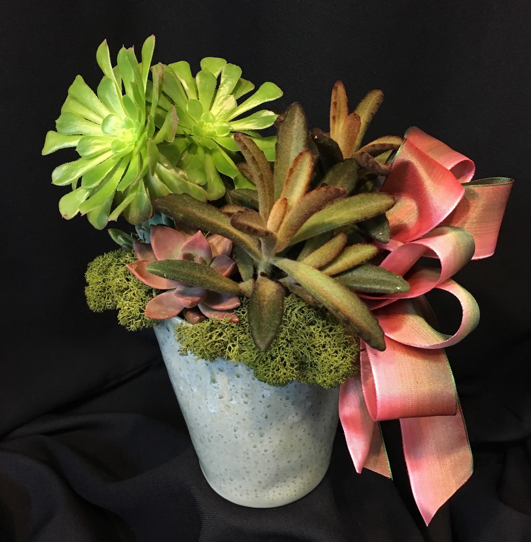 Small Succulent Gardens ~ Our Weekly Selection Varies - A mix of outdoor living succulents in a gorgeous pot that will complement their colors and textures. Keep in mind we make these different every week and yours will vary. Example shown here.  Plants and container are all designer's choice.  Sweet office or small space planter.