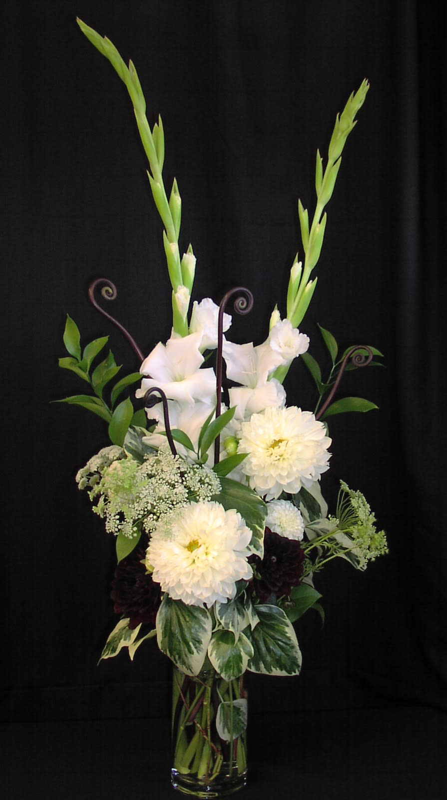 Dahlias and Monkey Tails - Creamy whites and chocolate accents keep it elegant and simple enough for any occasion.  Great on the guestbook table at a wedding or on an end table in your living room. Dahlias and monkey tails are premium flowers and must be ordered at least a week in advance. These flowers are at their peak in summer.