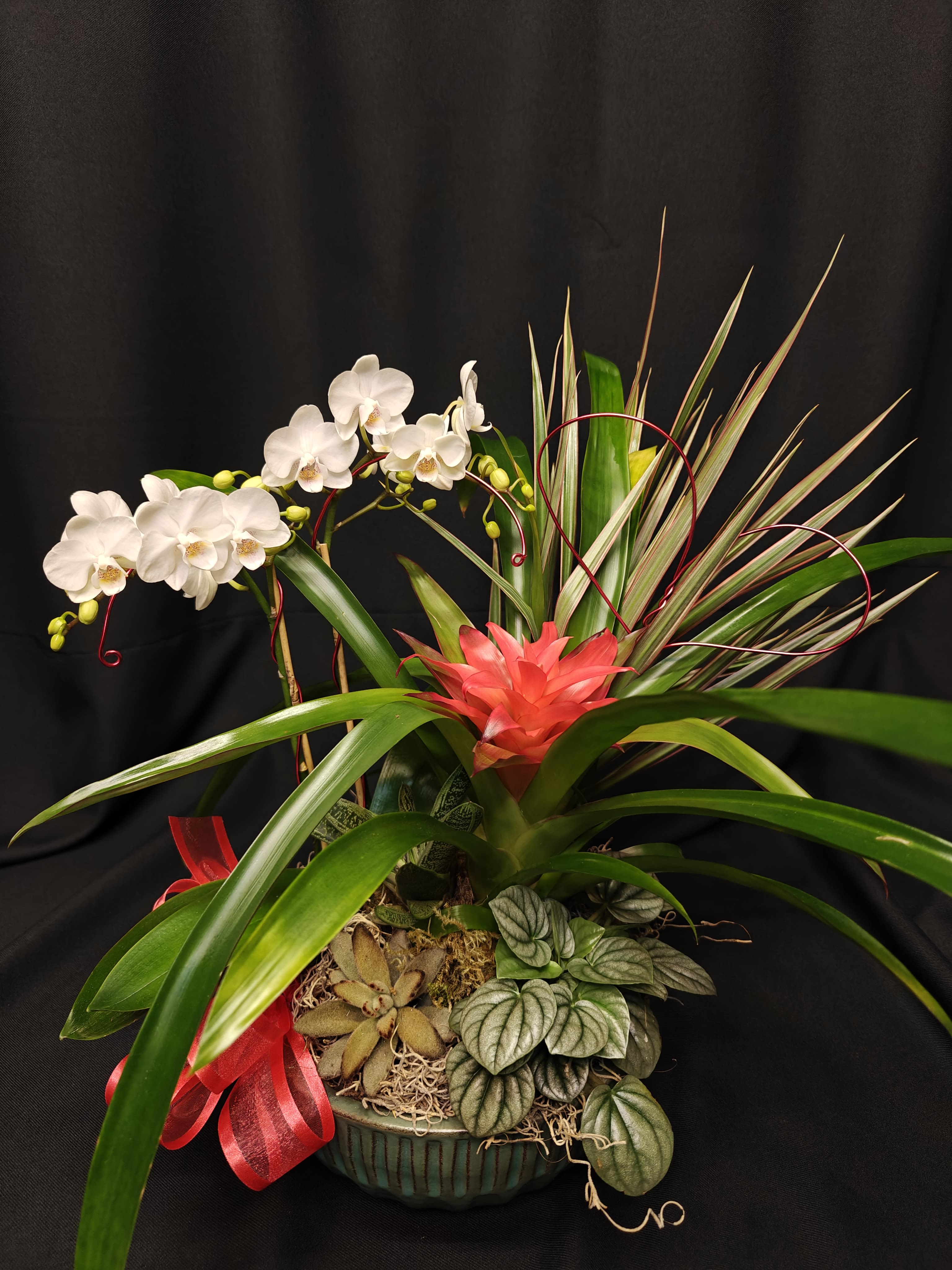 Orchid bromeliad indoor garden - Pristine indoor tropical plants in a long lasting indoor design. Premium ceramic pottery. Plants may vary