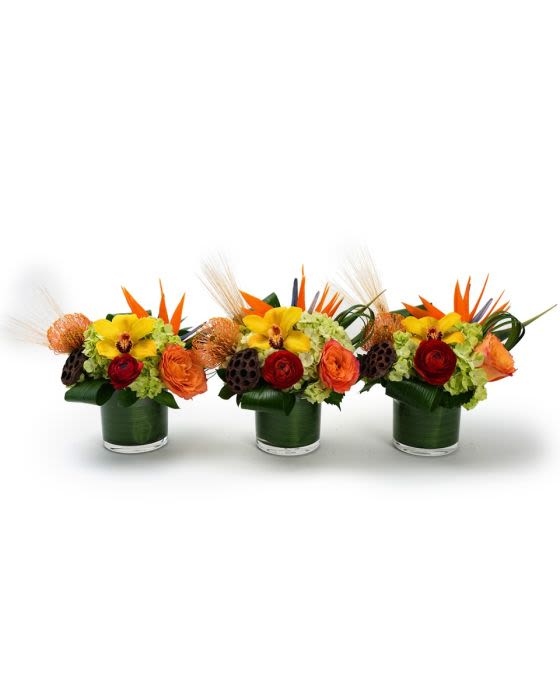 Trio of low orange, red, and yellow floral centerpieces in clear glass vases