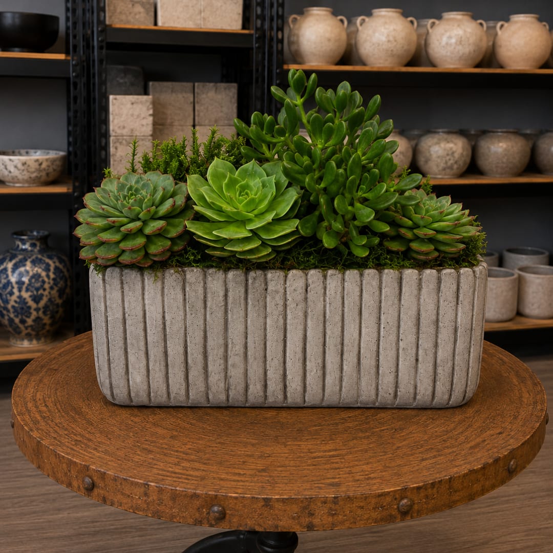 Succulent arrangement in a ribbed rectangular concrete planter