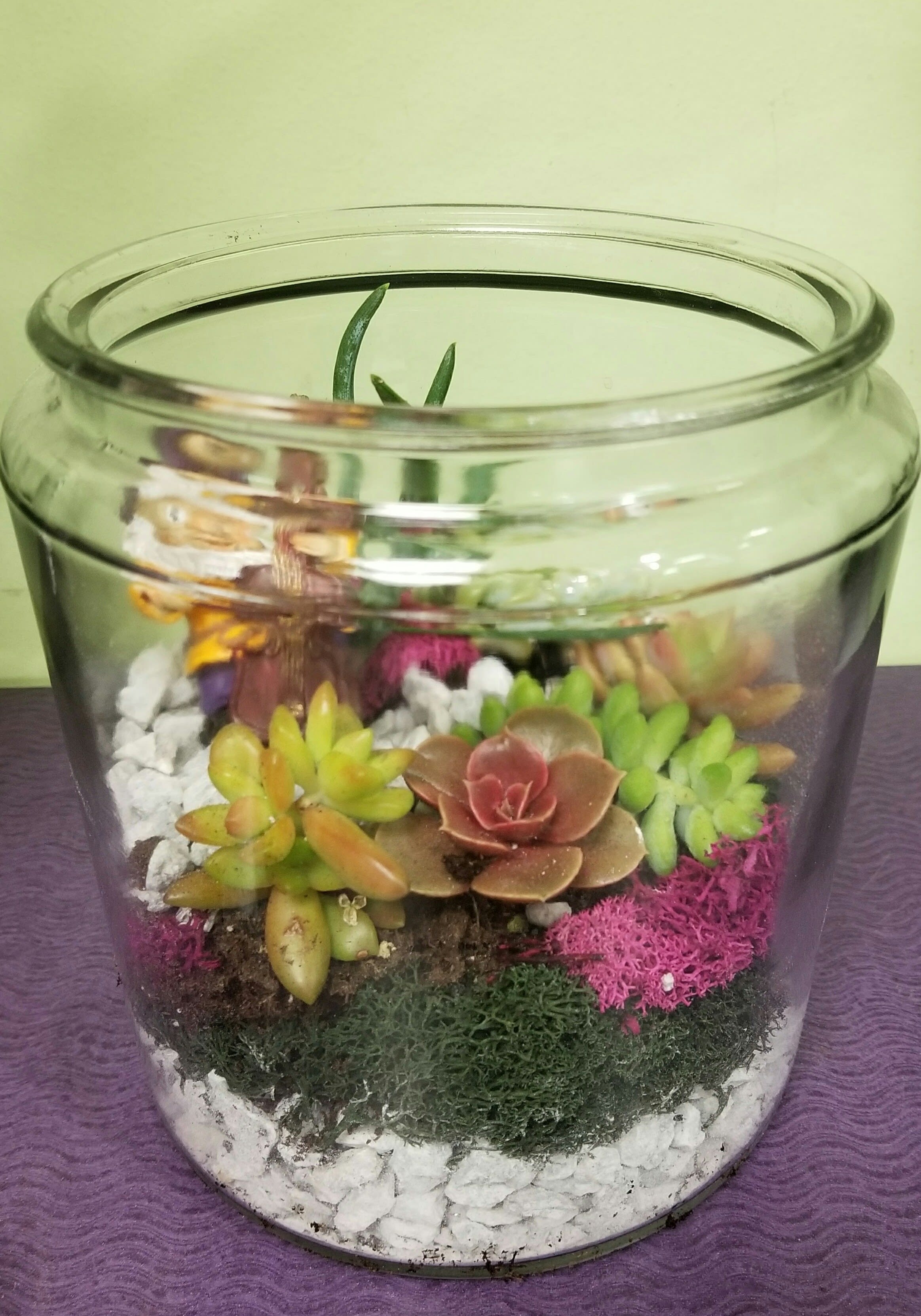 Glass bowl terrarium with colorful succulents and white stones