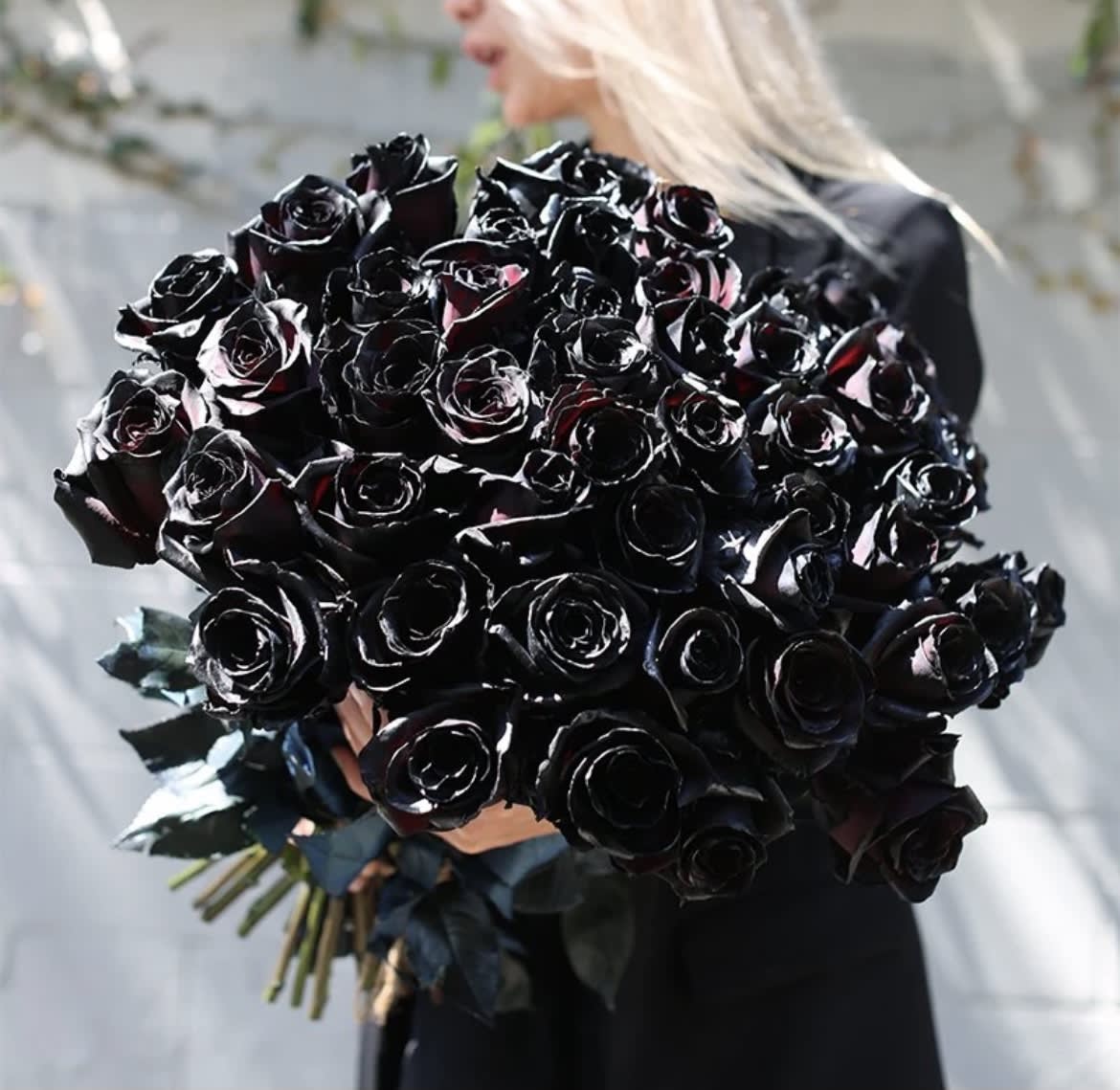 Large bouquet of black roses held by a person in dark clothing