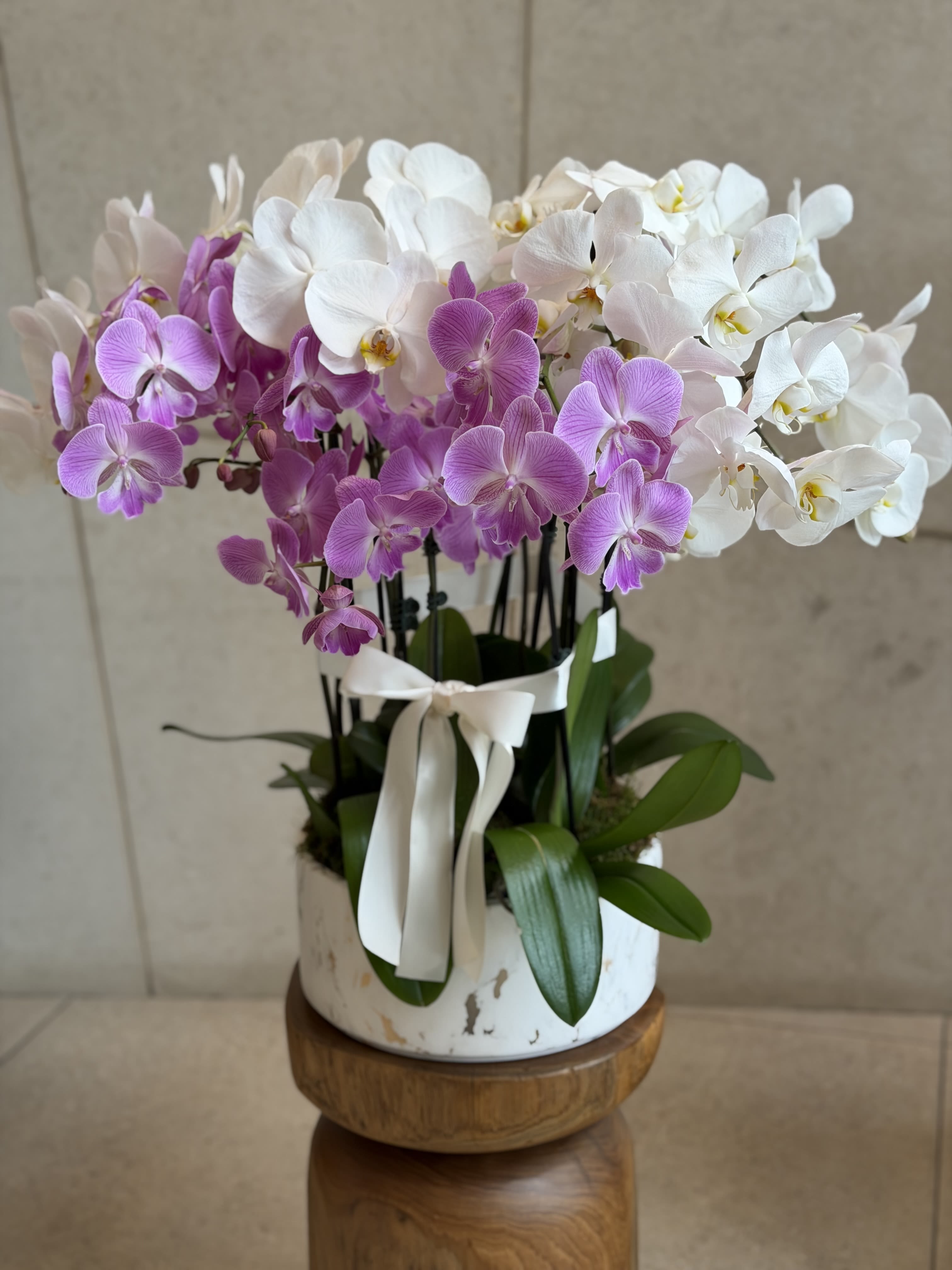 Luxury Orchid Arrangement in Marble Pot -  Luxury Orchid Arrangement in Marble Pot  An exquisite mix of white and blush-lavender orchids, designed in a modern ceramic marble pot. Perfect for elegant gifting or elevating any interior space with long-lasting beauty.  