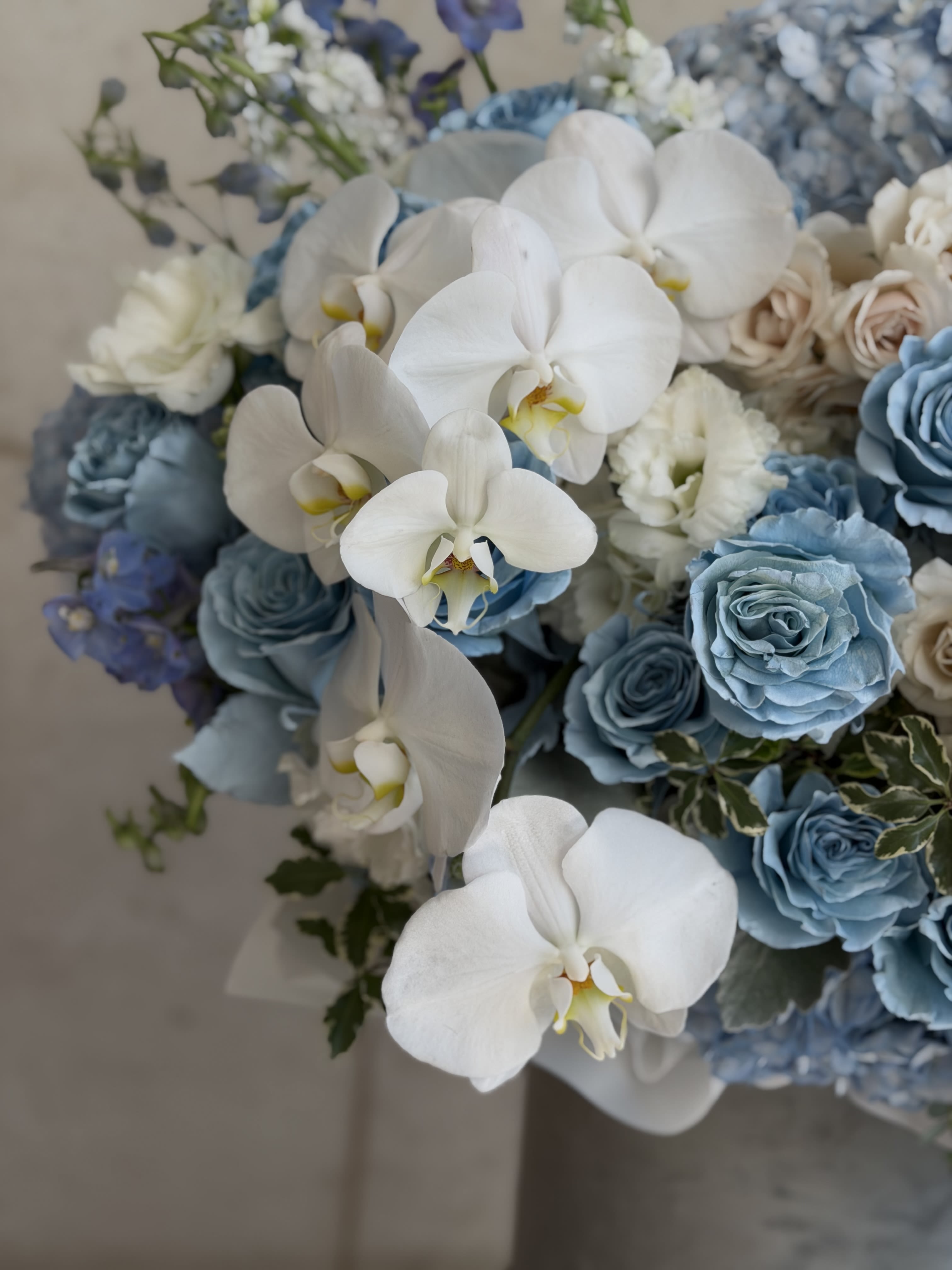 Sky Blue Orchids box -  