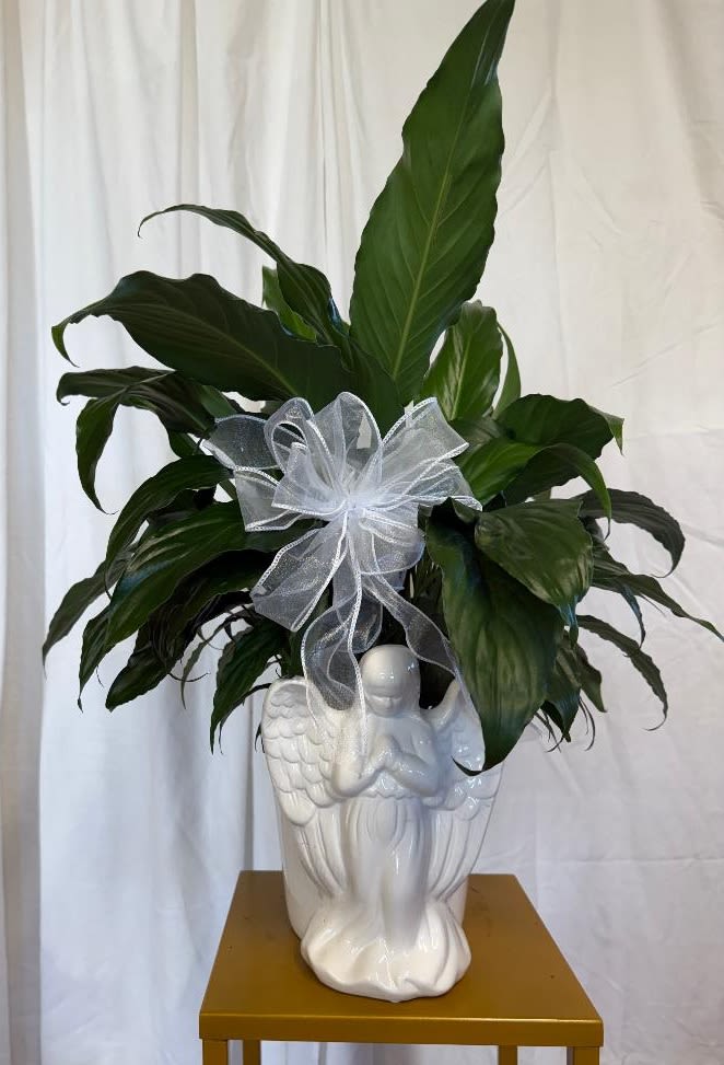 Potted green plant in a white angel-shaped ceramic planter with a silver bow