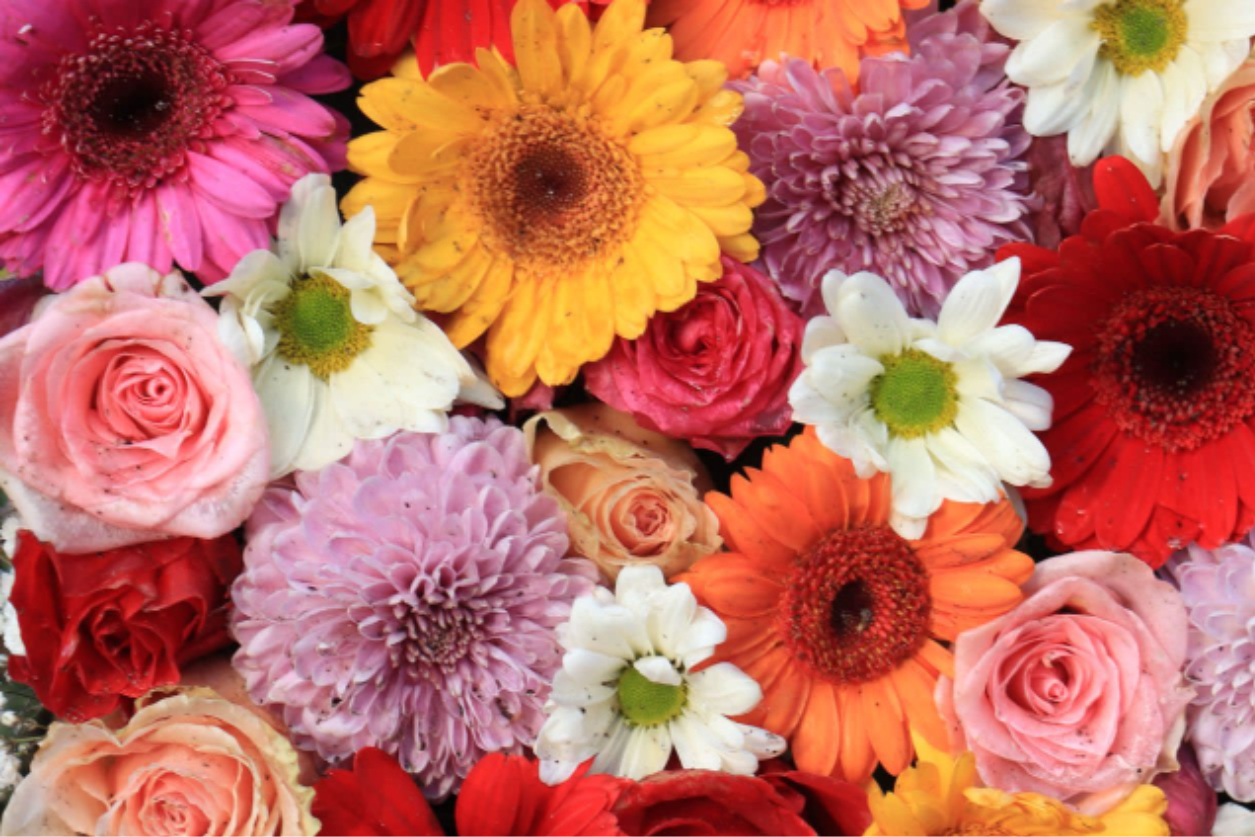 Mixed bouquet of gerbera daisies, roses, and chrysanthemums in bright colors