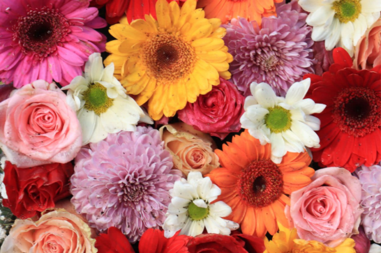 Vase designers Choice - Mixed flowers artfully designed in a vase