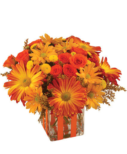 Bonfire Nights  - Cube floral arrangement that reminds you of the warmth of a bonfire  Content from www.flowershopnetwork.com