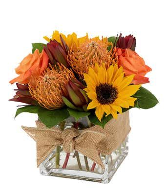 Mod Fall Cube Arrangement  - Festive fall tropical cube arrangement with Pincushion Protea, Sunflowers, and Roses 