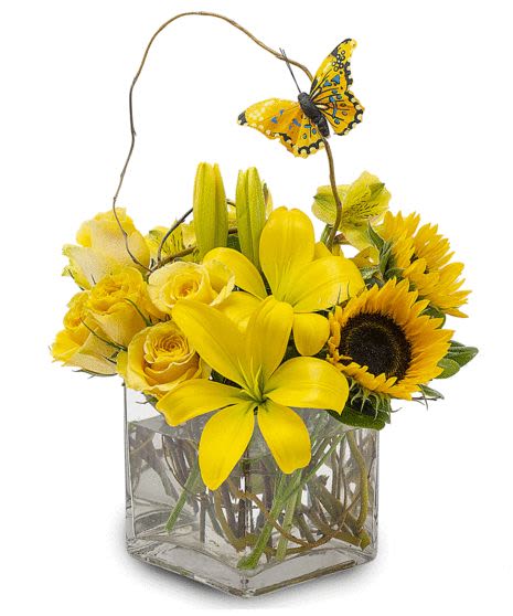 Bright Butterfly Cube - Brighten up someone's day with This cube full of Bright yellow flowers with a butterfly. 