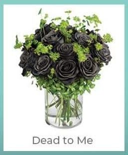 Black roses in a clear vase with green filler