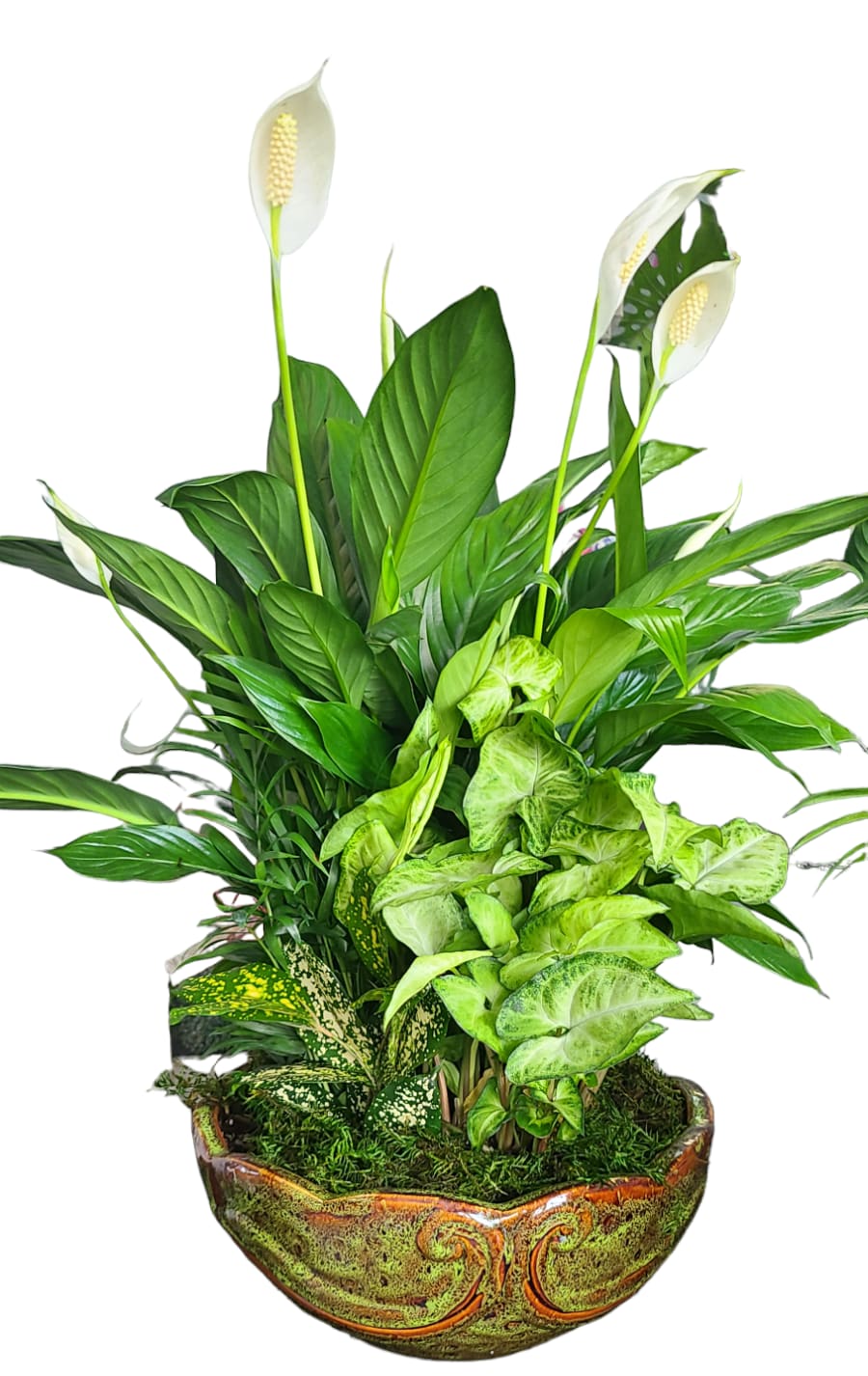 Potted arrangement of white peace lilies and green foliage in a decorative ceramic bowl