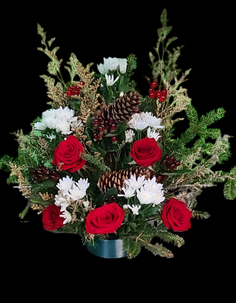 Red roses and white daisies in a low holiday arrangement with pinecones