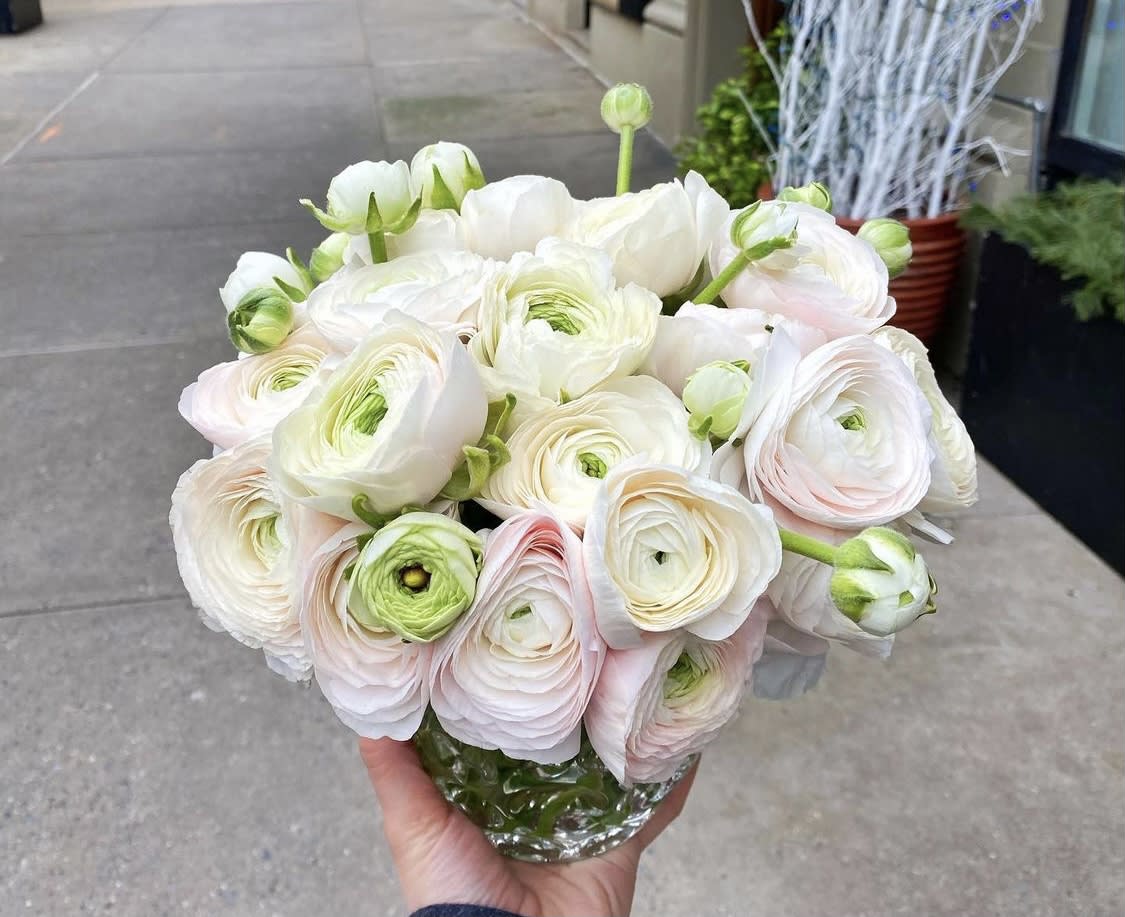 Bouquet of white and pale pink ranunculus in a glass vase