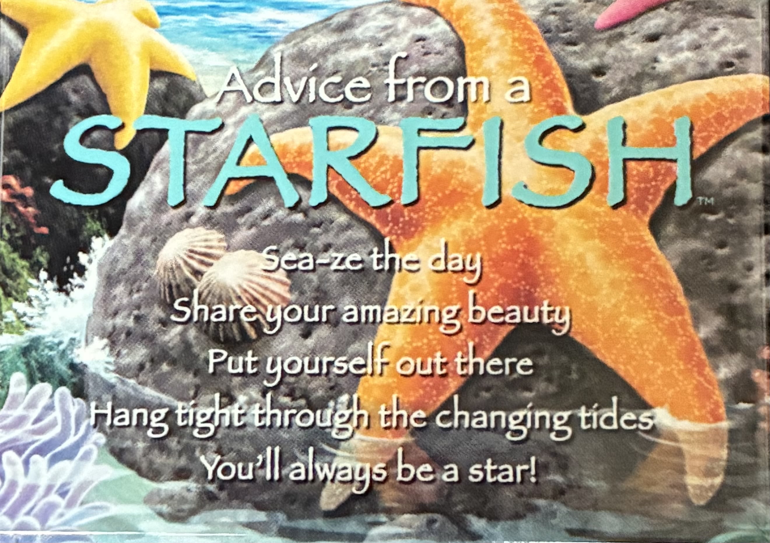 Advice From A Starfish Magnet - Advice from a starfish. Sea-ze the day. Share your amazing beauty. Put yourself out there. Hang tight through the changing tides. You'll always be a star! Magnet 2 1/2 inch X 3 1/2 inch. 