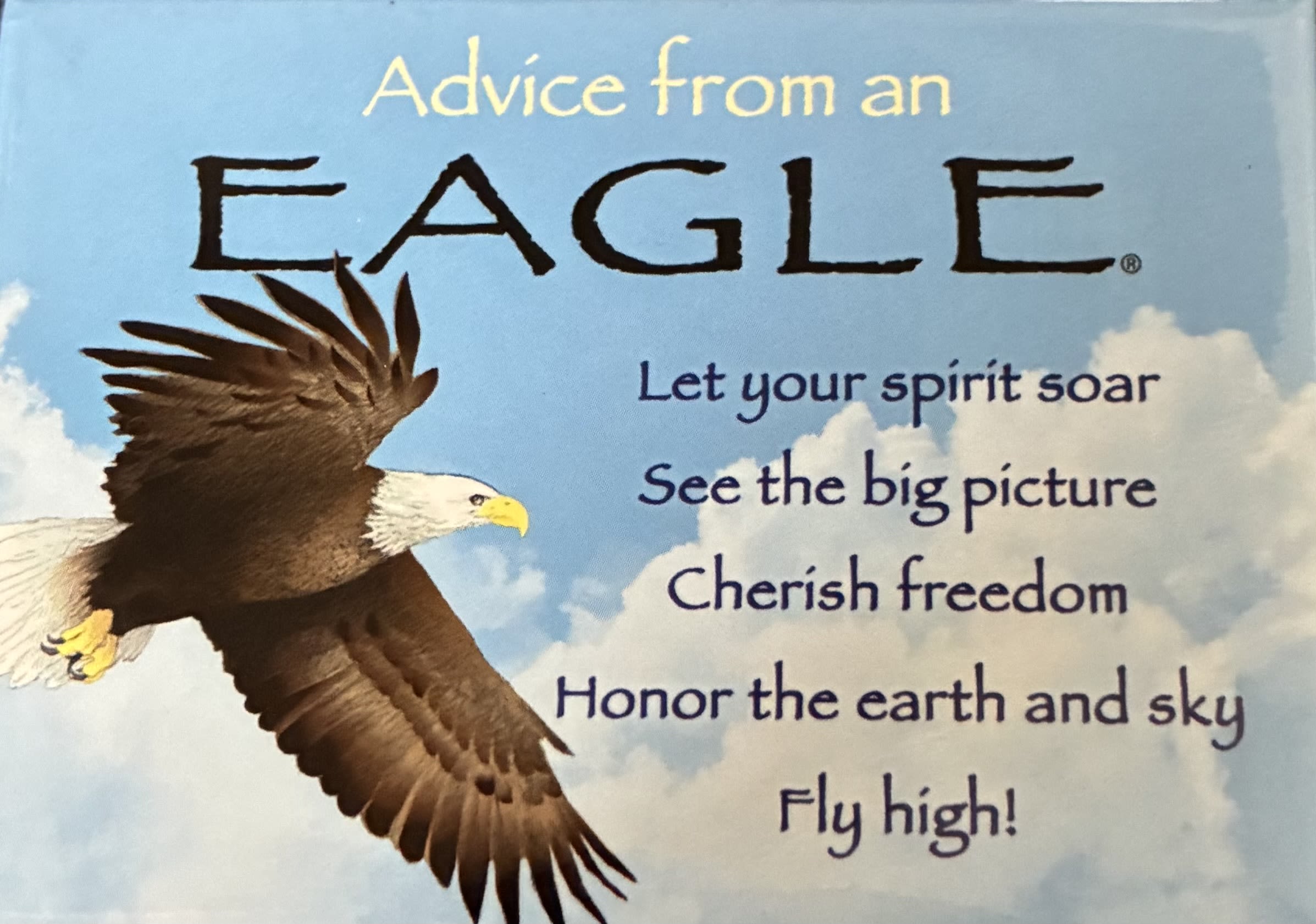 Advice From An Eagle Magnet - Advice from an eagle. Let your spirit soar. See the big picture. Cherish freedom. Honor the earth and sky fly high! Magnet. 2 1/2 inch X 3 1/2 inch.