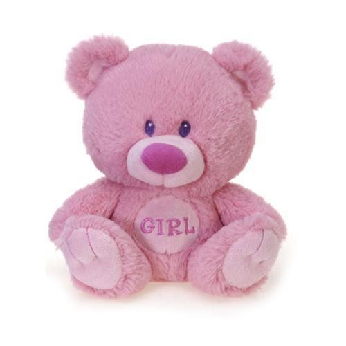 Pink teddy bear with "GIRL" embroidered on its chest