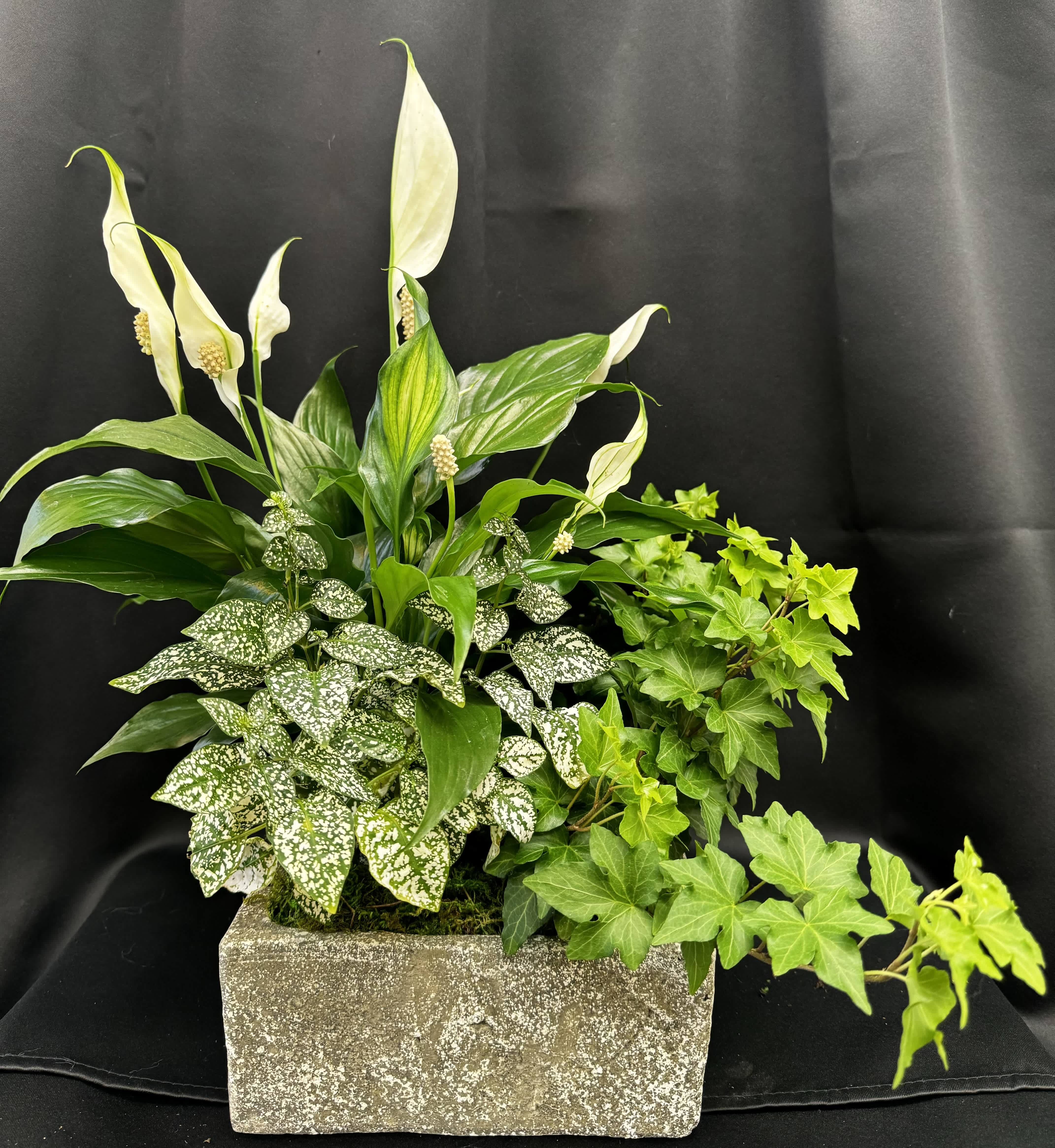 Potted arrangement with white peace lilies and variegated foliage in a rectangular planter
