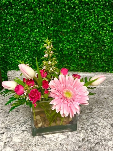 Modernized Gerber - A unique arrangement with all the pinks! This arrangement adds in a twist with some decorative rock on the bottom of this vase! Such a cool look! Colors may vary depending on what we have in stock. 