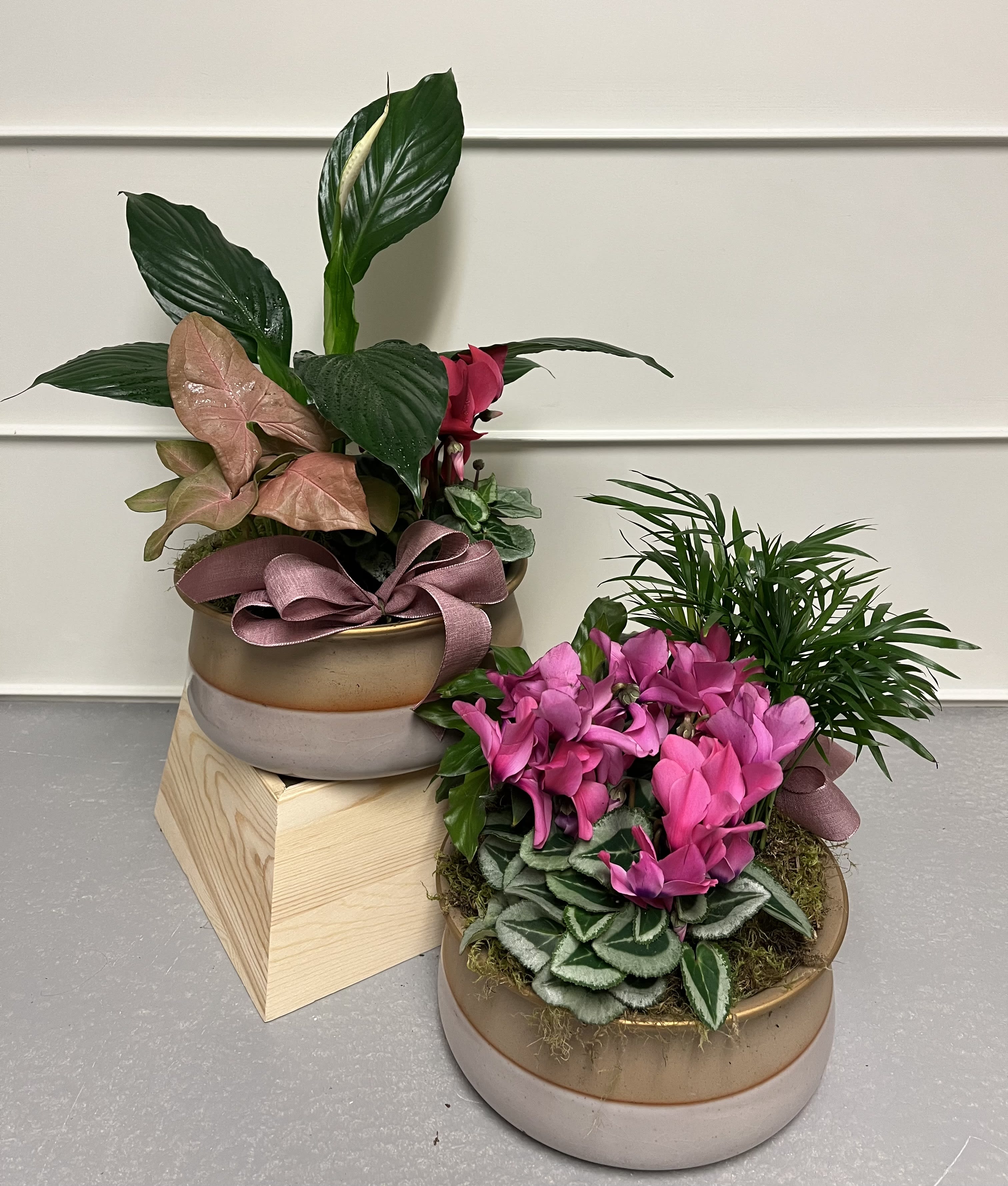 Two potted plant arrangements, one with pink flowers and one with mixed foliage