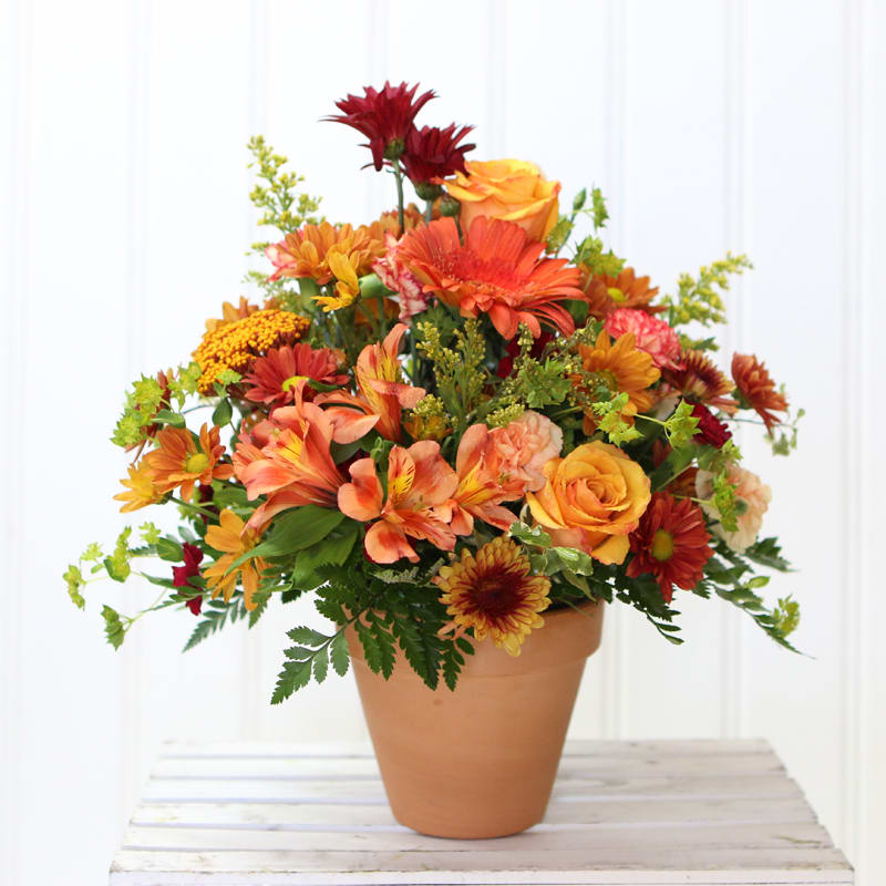 Autumn - It’s fall y’all! This fall arrangement is bursting with fall flowers in a terra-cotta pot.