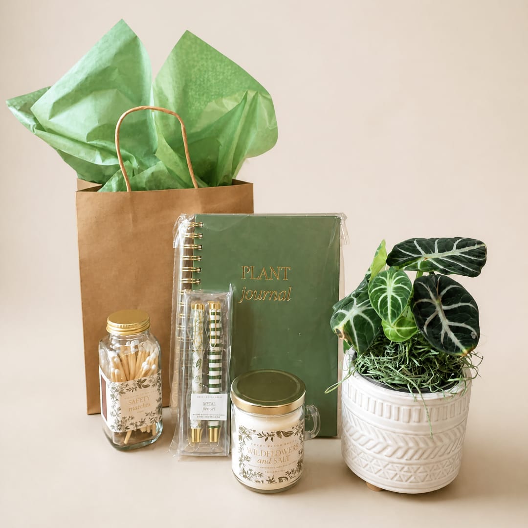 Plant gift set with a potted plant, journal, candles, and matches in a gift bag