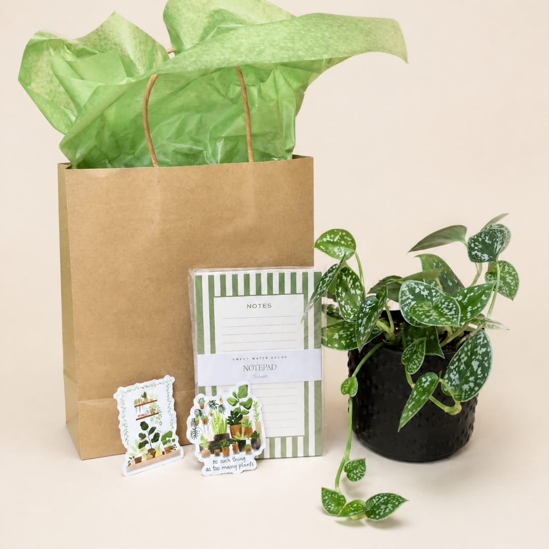 Potted plant with a gift bag, notepad, and plant-themed stickers