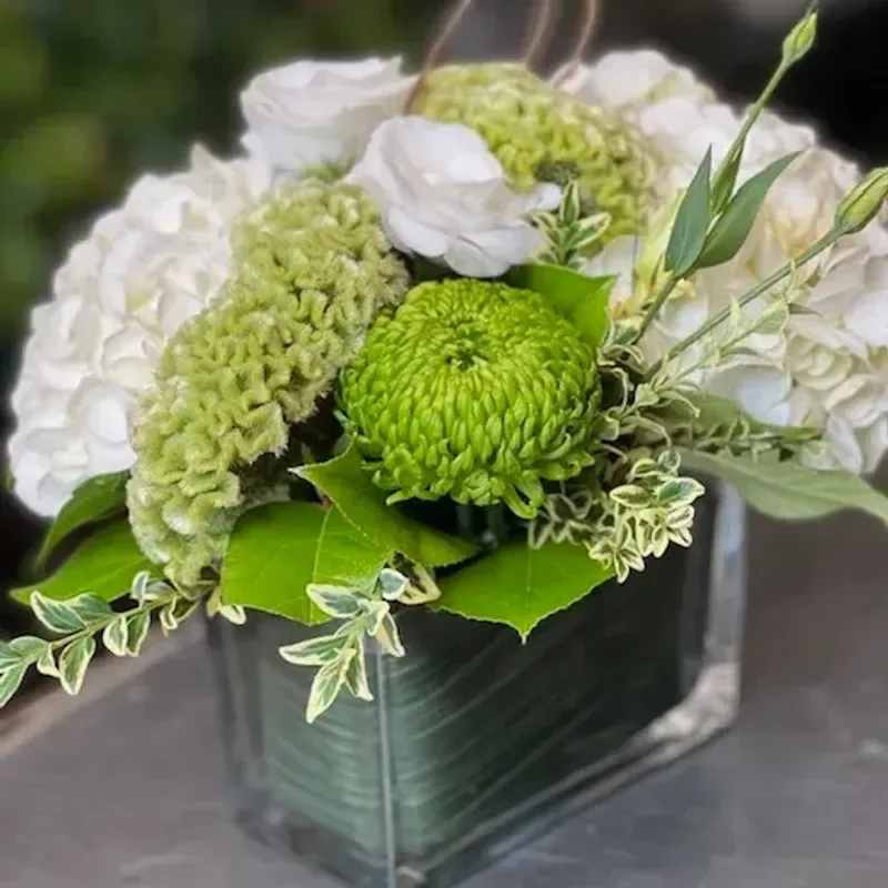 ppl - Crisp white blooms and bright green chrysanthemums form a modern everyday arrangement perfect as a housewarming, thank-you, or thinking-of-you gift. This compact flower arrangement for gifting balances clean whites and lively green tones to create a calm, polished impression that will make the person you're thinking of feel cared for and noticed.  Tightly layered chrysanthemums, carnations, and a mix of seasonal blooms sit in a low square black container, with variegated foliage framing the composition for contrast and texture. The compact size makes it easy to place on a side table or desk; the neutral-black vessel highlights the fresh palette while keeping the overall look contemporary and versatile. Free delivery is included for a hassle-free surprise.