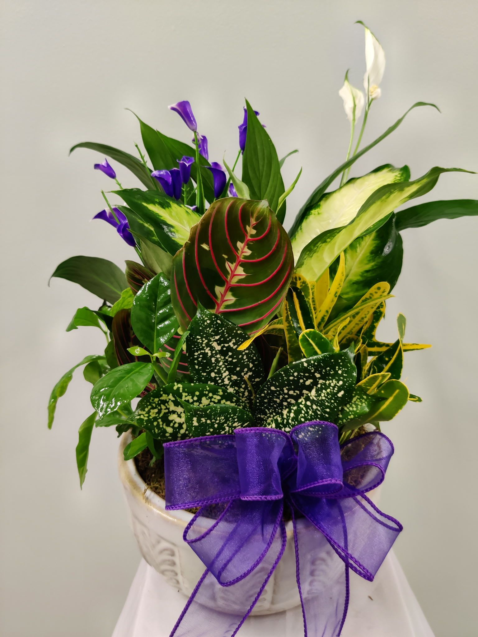Potted tropical plant arrangement with purple flowers and a purple ribbon