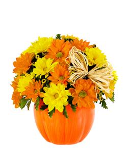 Orange and yellow daisy bouquet in a pumpkin-shaped container