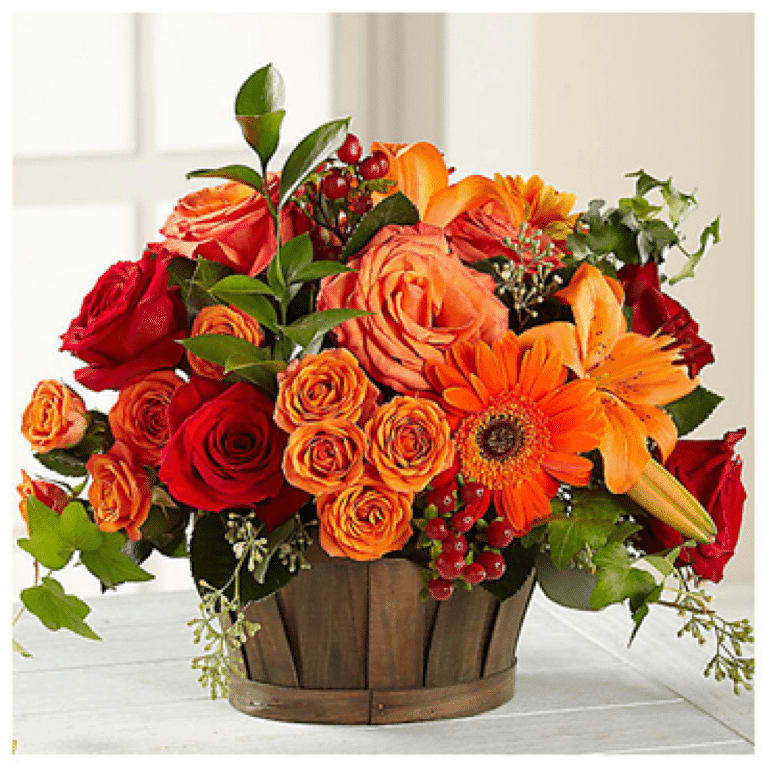 Autumn Splendor - Talk about VIVID! The arrangement features beautiful blooms in red and orange tones. They’re complemented with gerbera daisies, Asiatic lilies, and hypericum berries. And all the flowers reflect the warm autumn colors of red and orange. It’s the perfect gift to accent for your autumn decorating. Arranged in an 7" Basket for a high impact look.