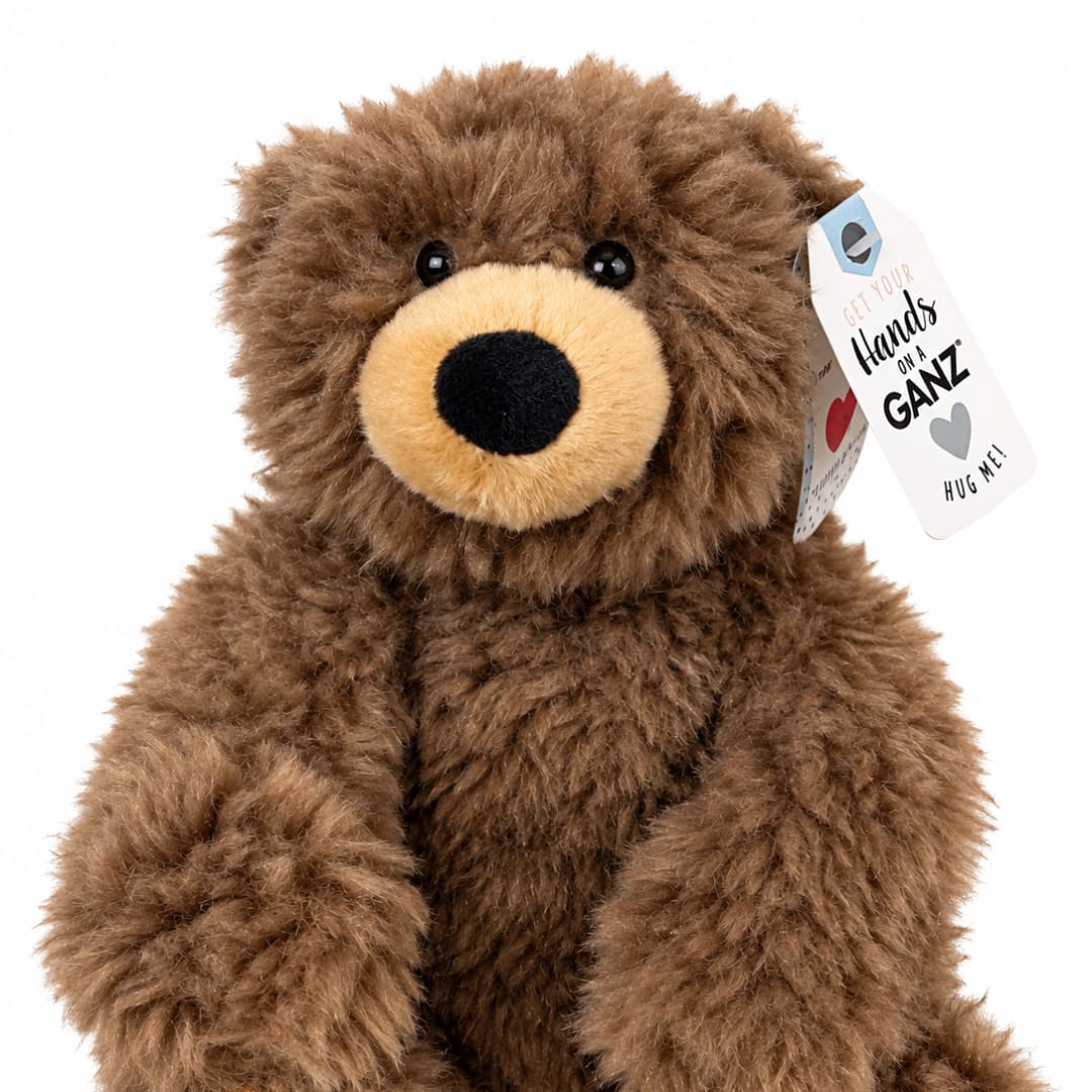 Brown plush teddy bear with a tag on a white background
