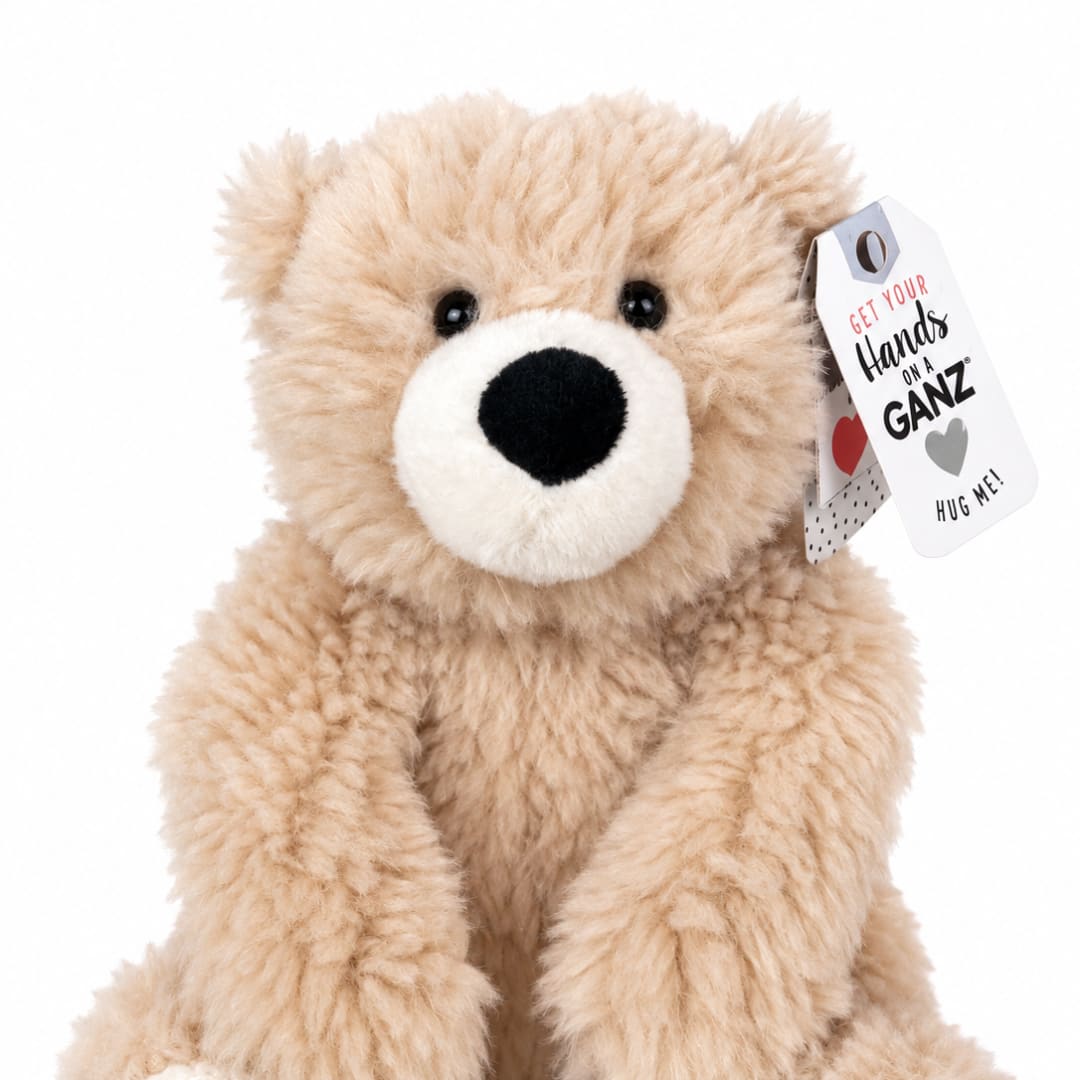 Plush teddy bear with a hang tag on a white background