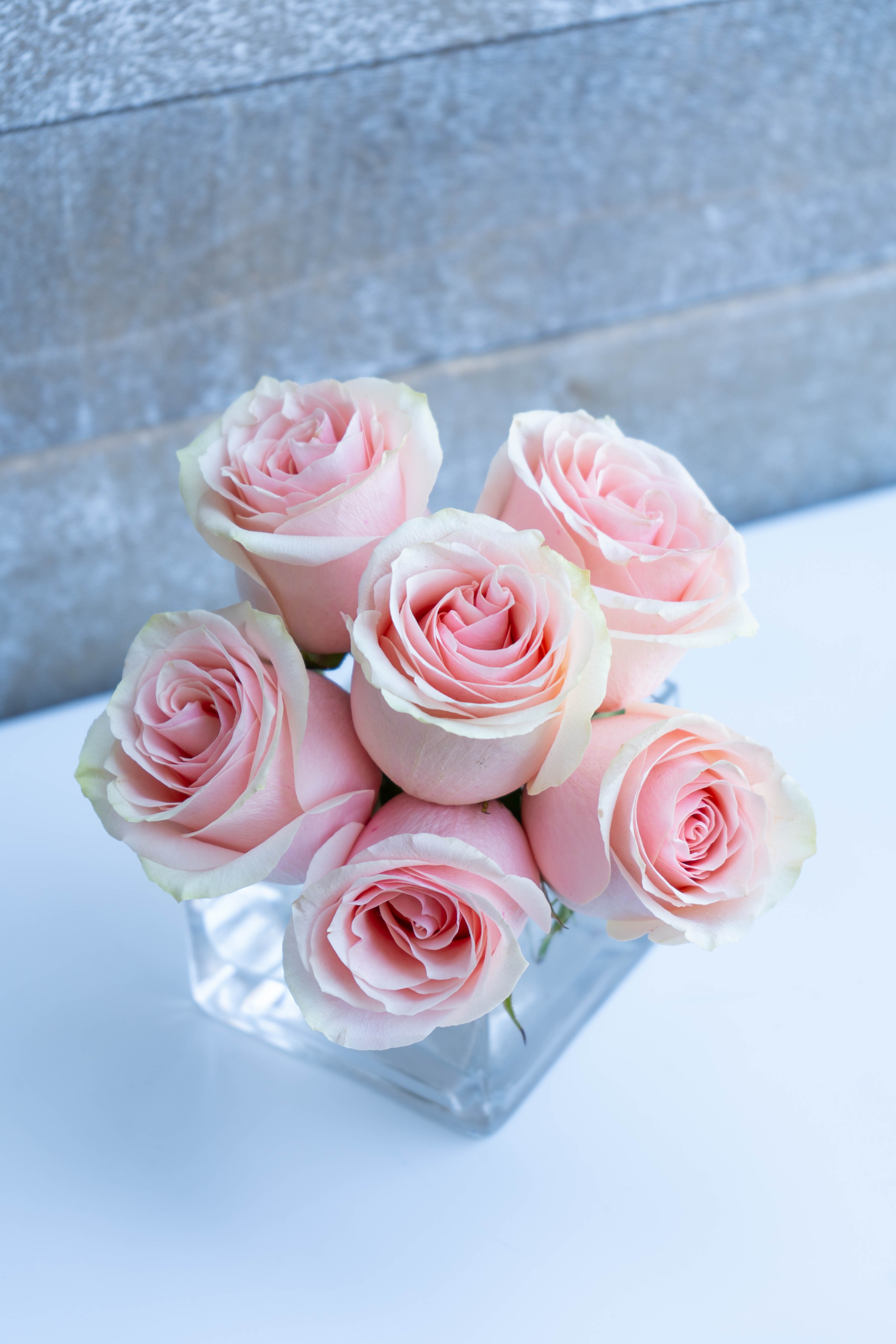 small cube 1/2 dozen blush roses - simplicity and pure elegance, perfect to order in large quantities for parties, or a simple gesture to a loved one. 6 gorgeous blush roses in full bloom placed delicately into a clear 4x4 glass. truly simple perfection