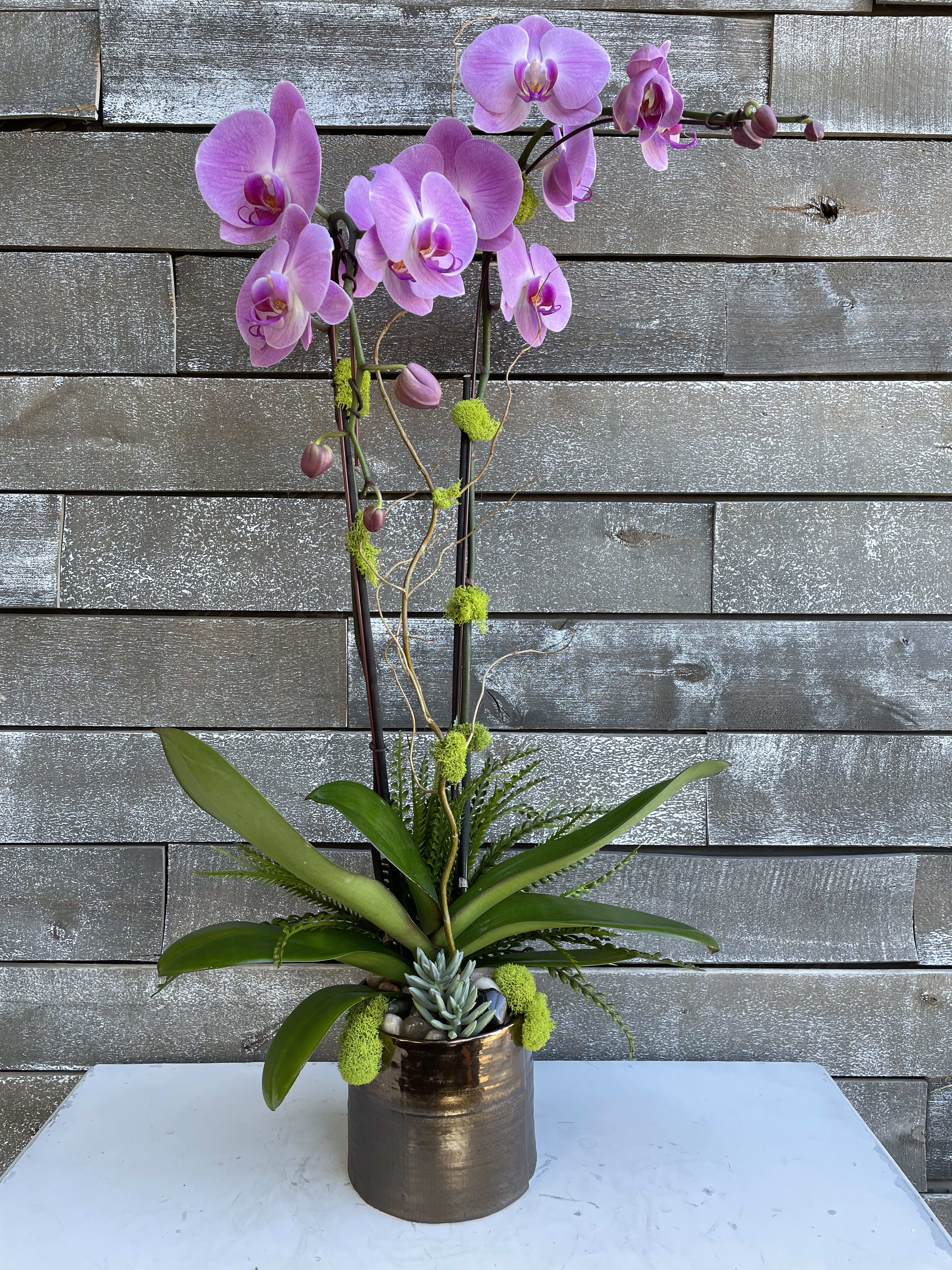 Pink orchid arrangement in a metallic pot with succulents