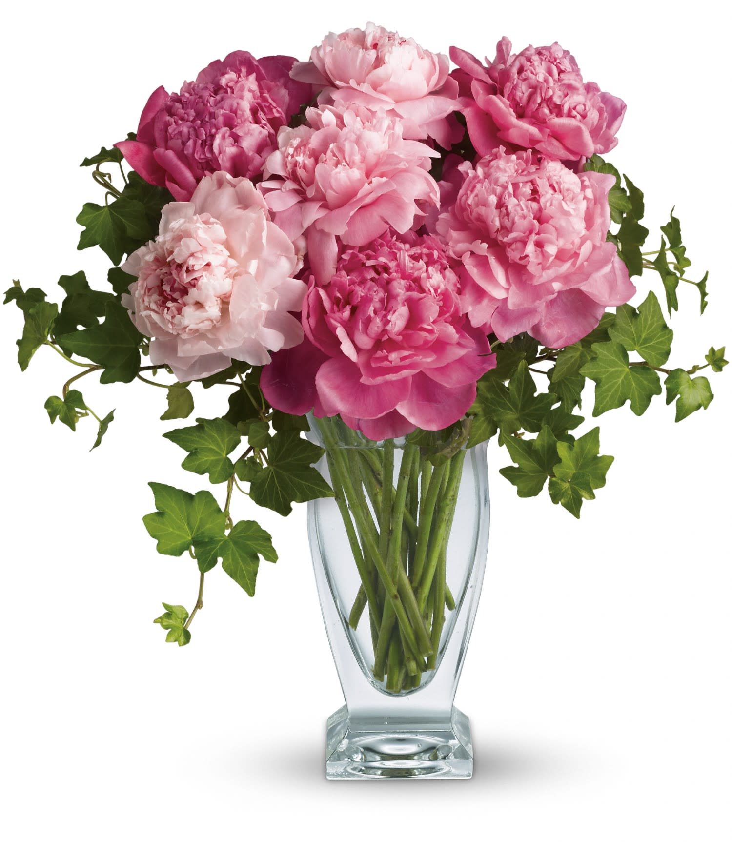 Perfect Peonies - Bright pink peony blooms are delivered in an exclusive Couture Vase. Approximately 15 W x 15 1/2 H