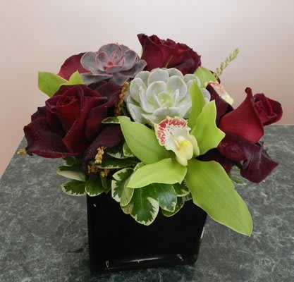 Black Baccara - Black Baccara roses, green cymbidium orchids and succulent cuts make the focal point of this unique collection. Upgrade to impress.