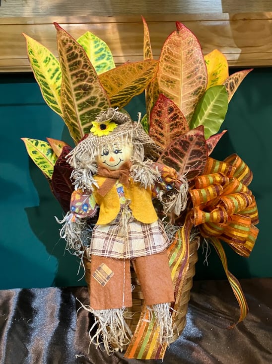 Autumn Croton - Send a colorful gift that keeps on giving! A true easy-to-care-for statement plant, this beauty is the perfect way to send a burst of vibrancy to their day-to-day!