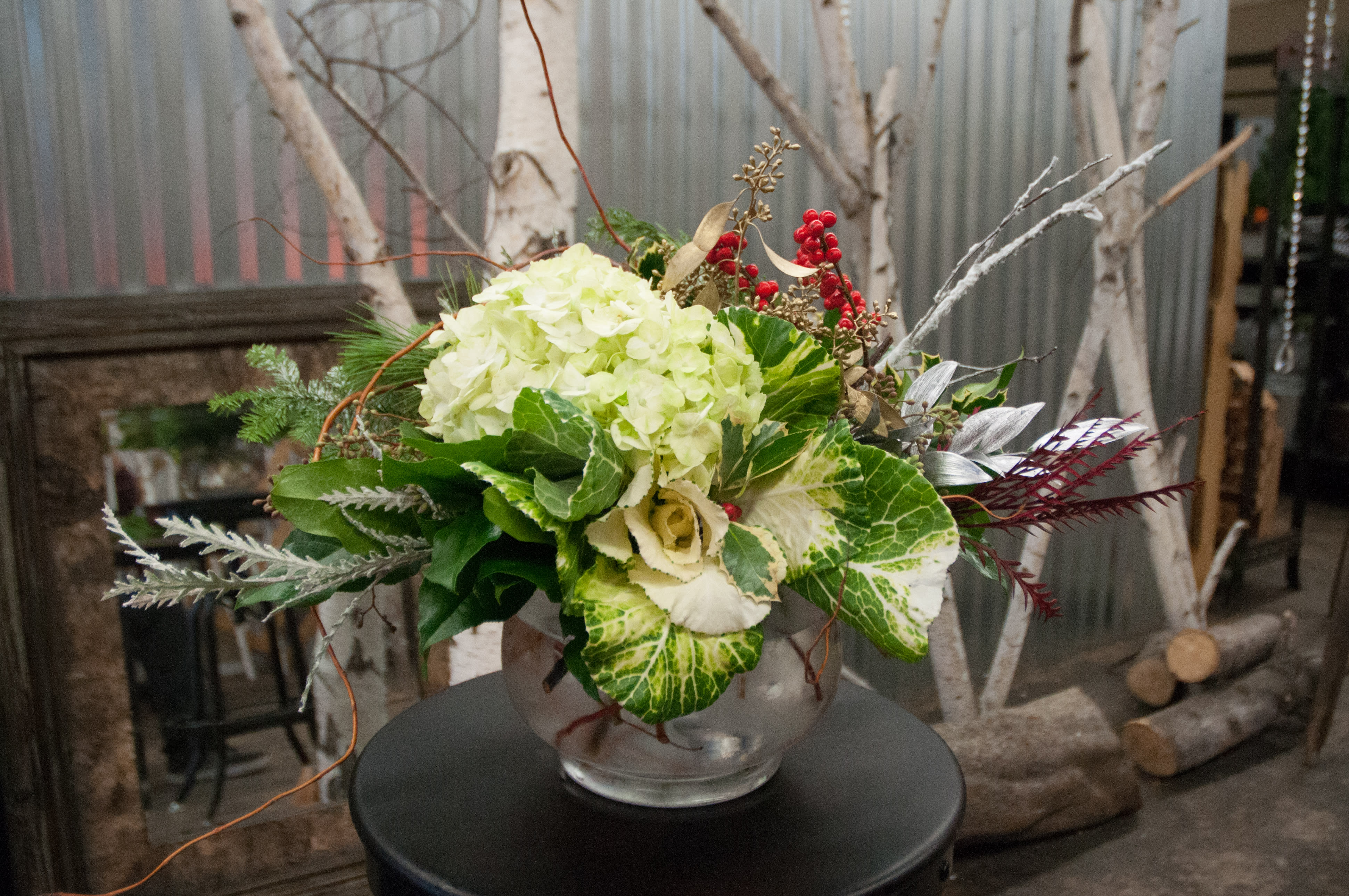 Christmas Kale - Elegant mix of white, reds, Christmas greens, and Kale. Accent your space with this beautiful arrangement.