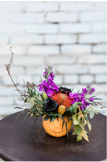 Pumpkin Garden Blooms - Stunning mix of fall garden blooms with a touch of dyed black roses for your Halloween festivities!  pictured [STANDARD]