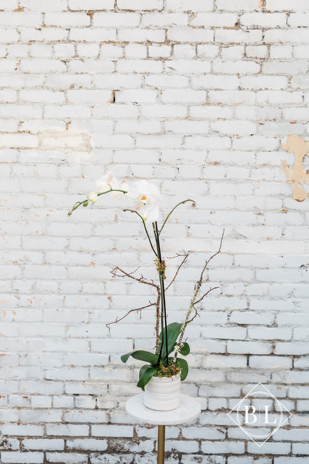 White orchid arrangement in a white pot on a small round table
