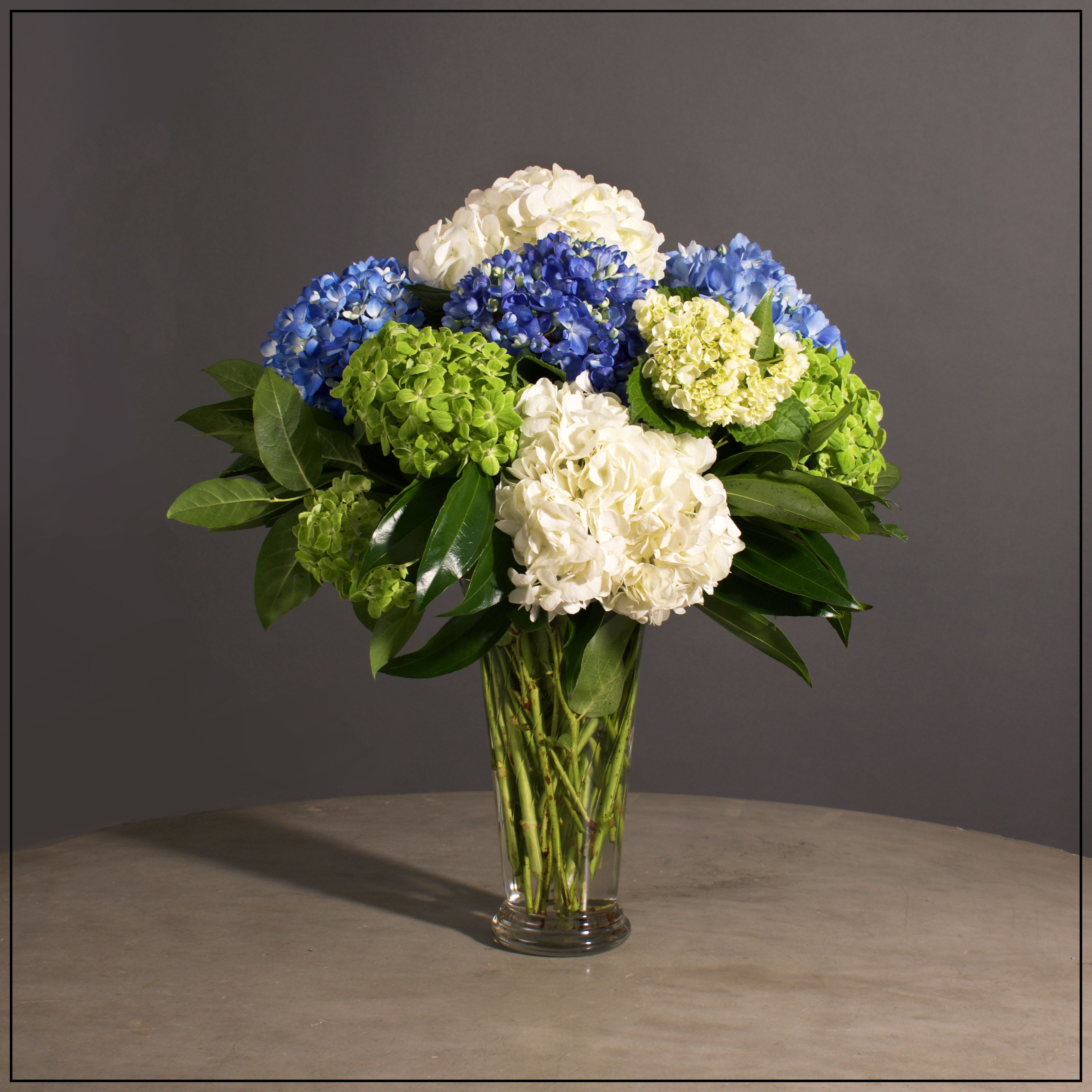 Chatham - Mixed Hydrangeas in a Large Glass Vase.  Approximately 21 H x 18" W