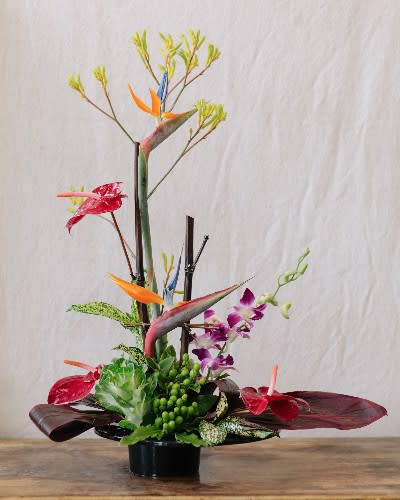 Tropical arrangement with bird of paradise and orchids in a black pot