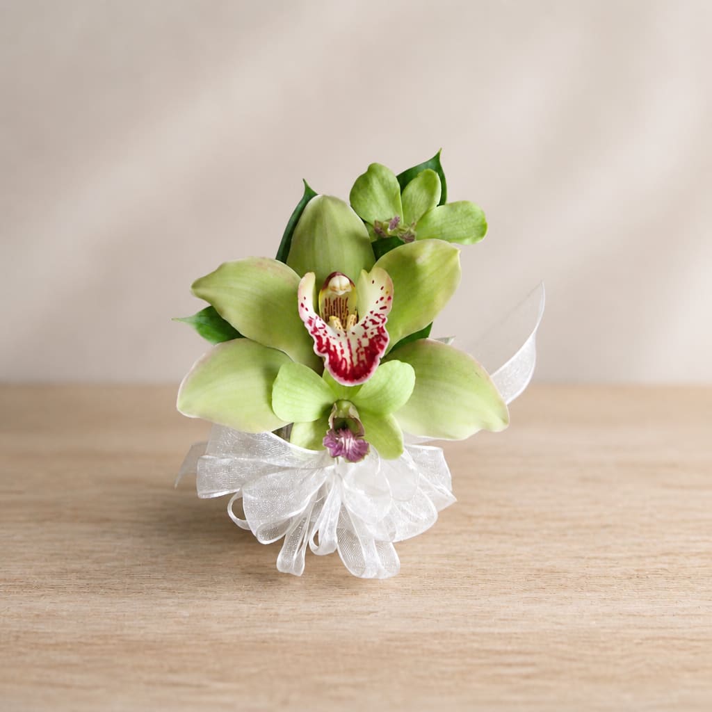 Green orchid corsage with a white ribbon bow