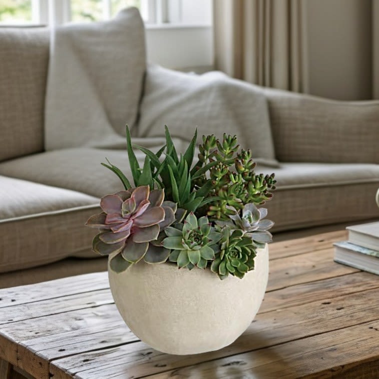 Desert Beauty Succulent Garden - Bring the serene beauty of the desert landscape to any room of the house or office with this glorious growing gift.  picture is only an inspiration a designer will fill and plant a custom garden to your price point-- containers and plants will vary   Each succulent garden will be planted to order and varieties and containers may vary