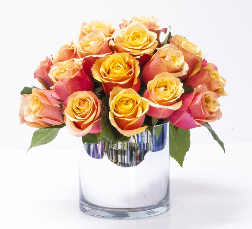 Cherry Brandy Roses arranged in glass cylinder - Cherry Brandy roses are yellow with a tinge of hot pink.   We arranged them modern style (cut short with the rose head sticking out above the rim of the vase) in a 6"d x 6"h glass cylinder.  Note: In those cases where the cherry brandy rose is not available, we will substitute either orange or yellow roses, depending on availability.