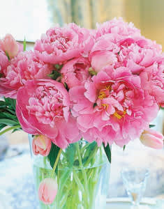 Pink peonies in a clear glass vase