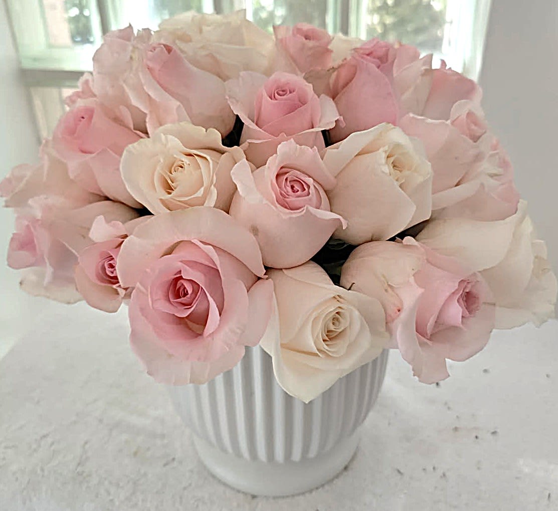 Pink and white roses arranged in a white ribbed vase
