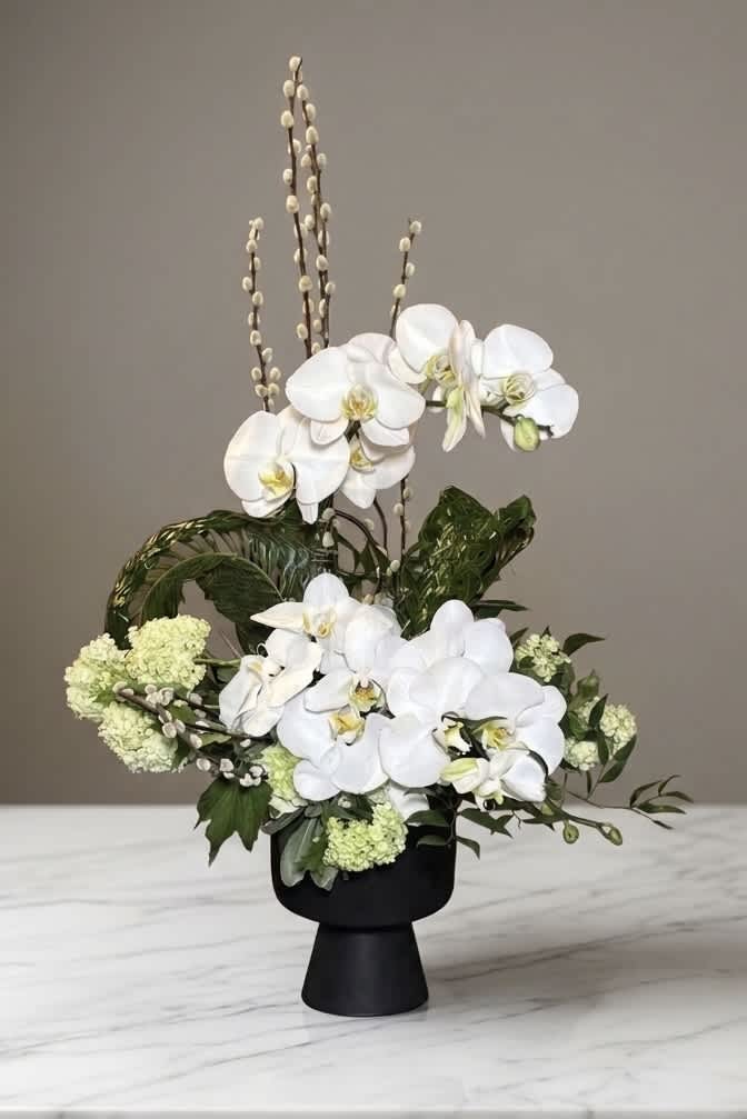 White orchid arrangement in a black pedestal vase with green accents